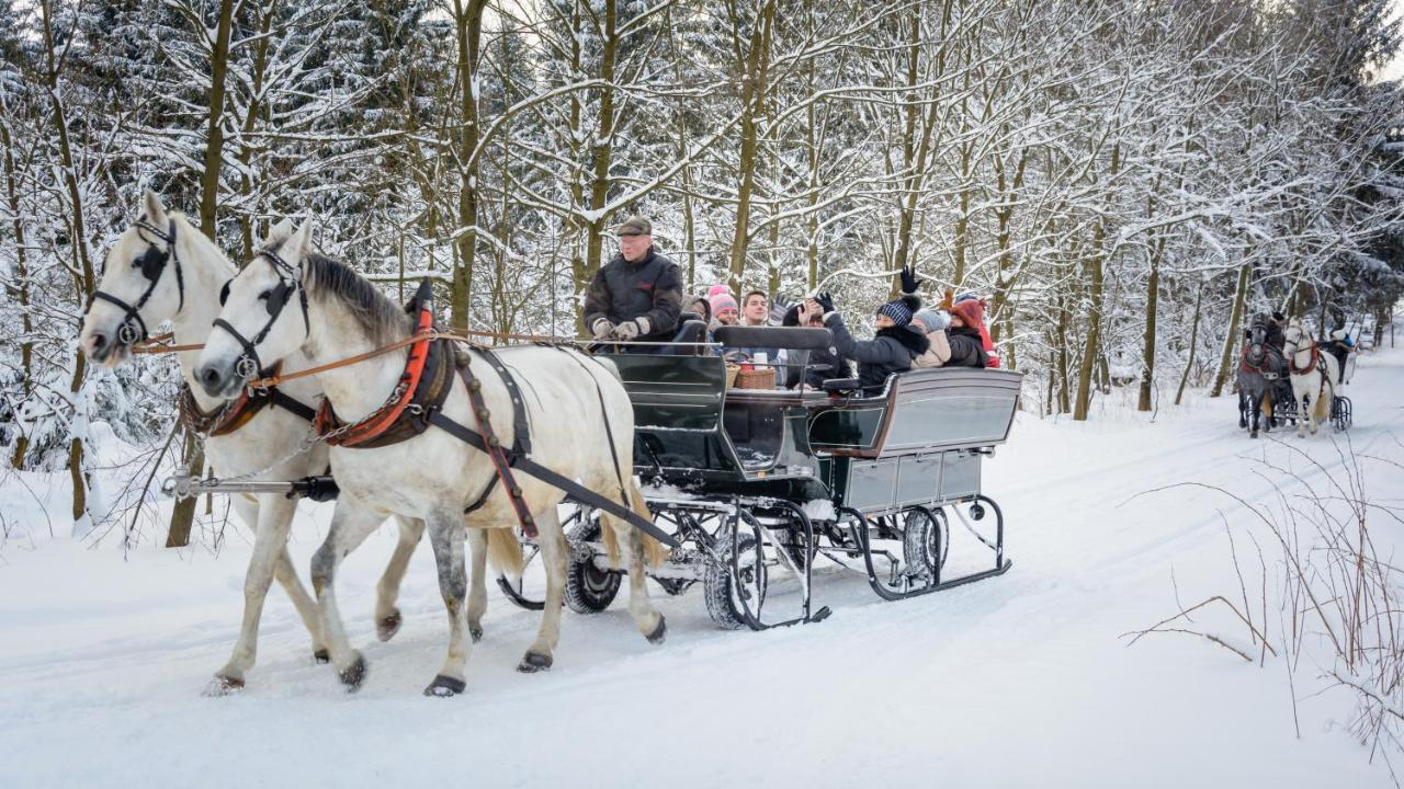 Ferienhotel Goldhuebel Нойхаузен Экстерьер фото